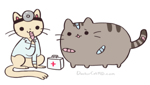 sick pusheen