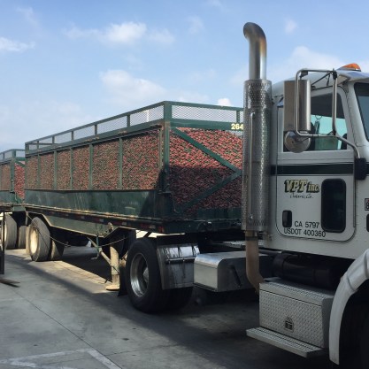 Photo Oct 17, 2 16 32 PM