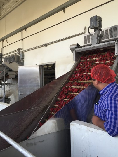 Photo Oct 17, 2 19 51 PM