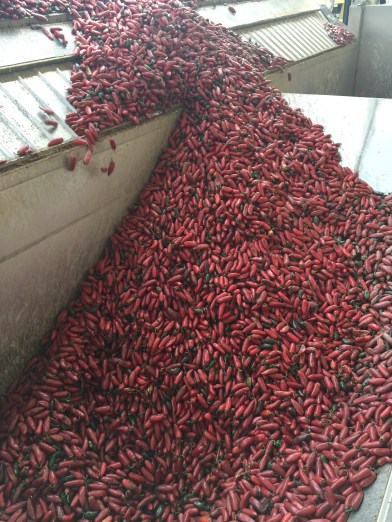 Photo Oct 17, 2 19 57 PM